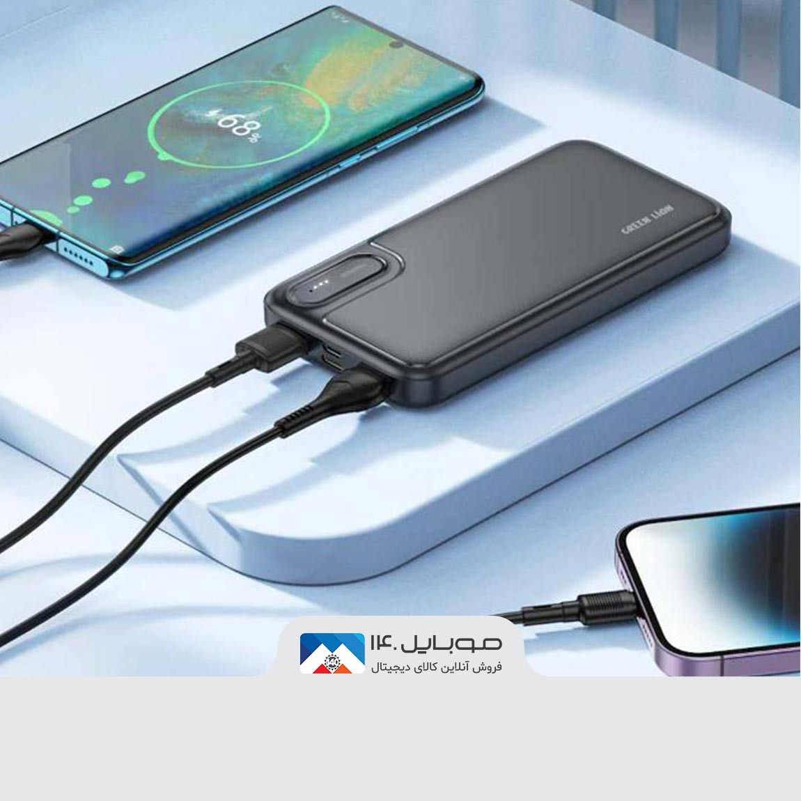 GreenLion Power Mate 10 10000mAh PowerBank 5