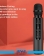 Green Lion Karaoke Microphone 3